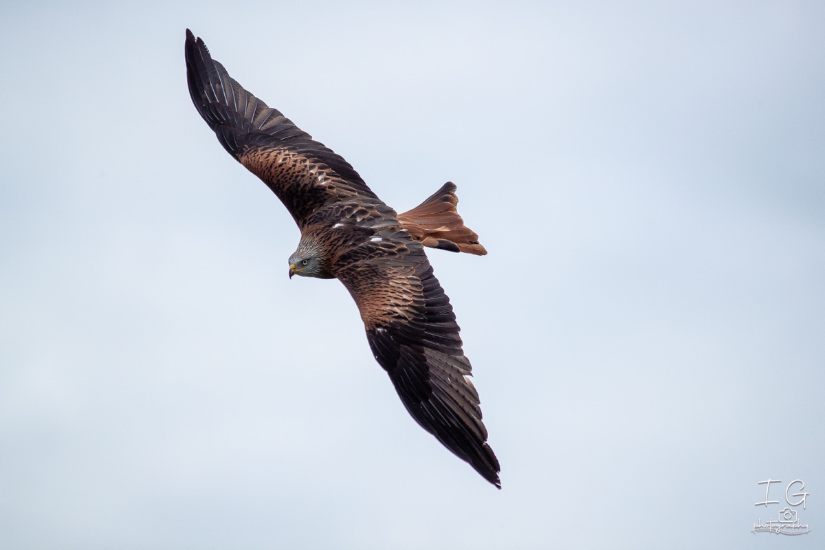 20211023 AK6I0707 insta